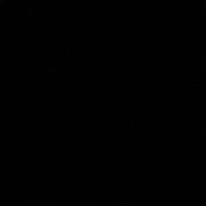 Meet your Posher, Dylan